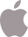 FastPiniOS App Download